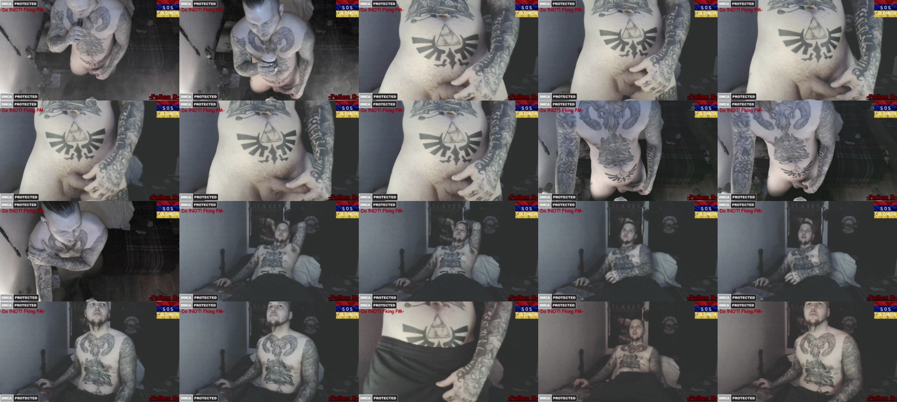 fallen_disaster  12-05-2021 Recorded Video Webcam