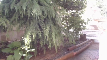 Lettali 25-05-2021 Ass 