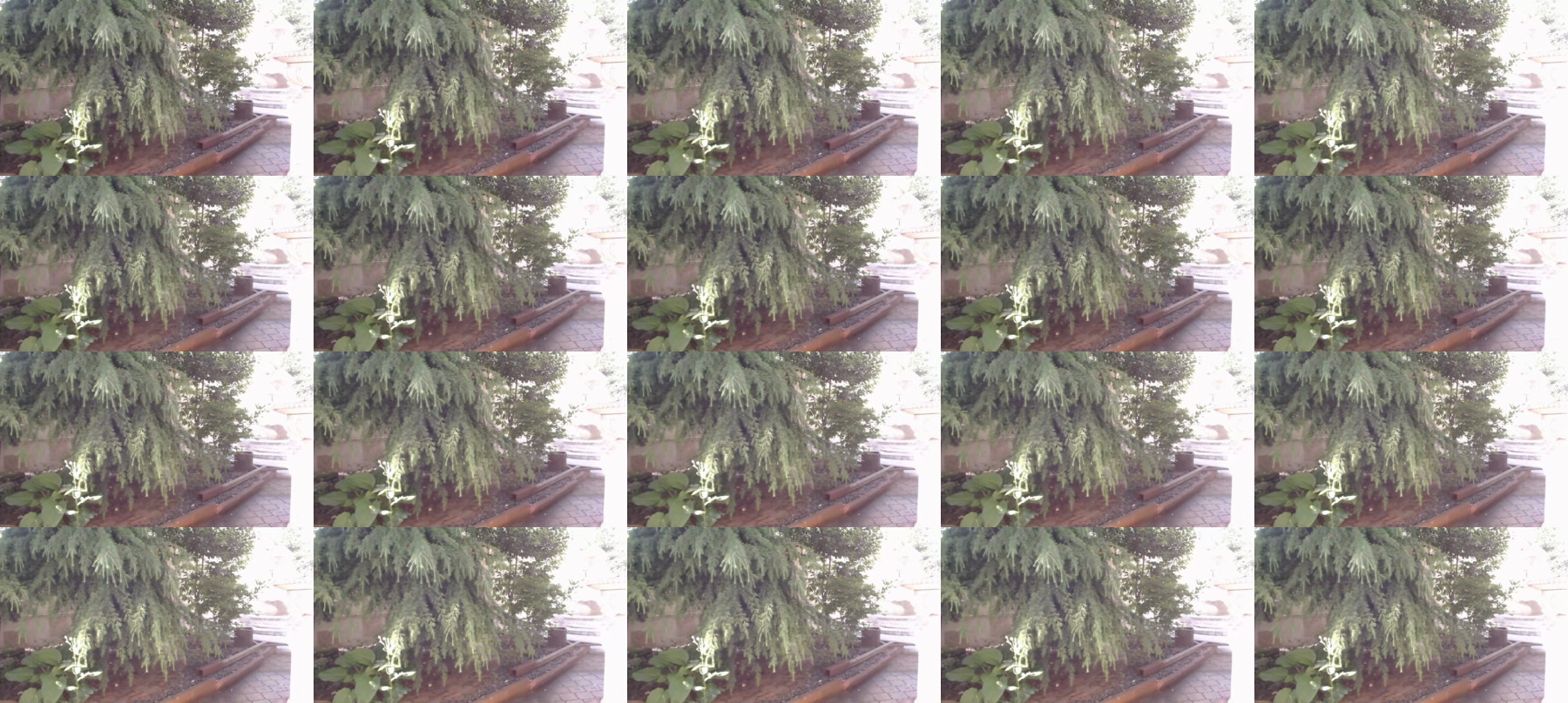 Lettali 25-05-2021 Ass 