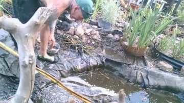 36ROLEXXXLDOM  30-05-2021 Recorded Video Download