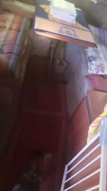 bikerdieter2  31-05-2021 Recorded Video Nude