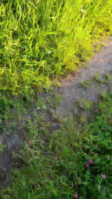 Geil32hb  08-06-2021 Recorded Video XXX