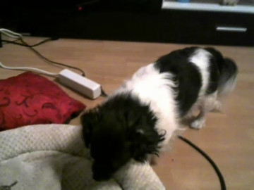 myass4all  07-06-2021 houswife Female