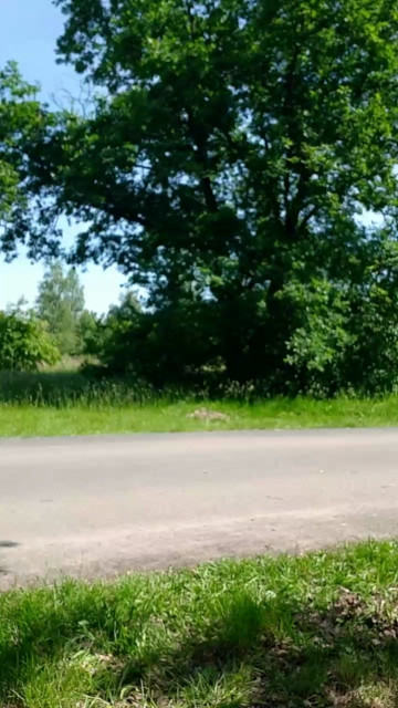 Andigr2grneu  10-06-2021 Recorded Video Download
