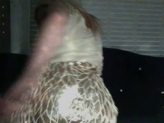 BlondandCurvy 09-06-2021 Video 