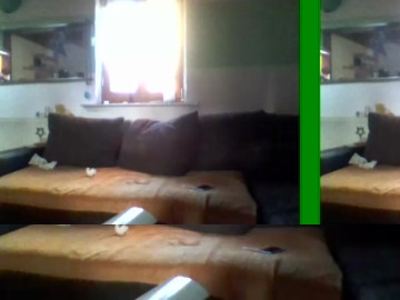 Pitterporz  10-06-2021 Recorded Video Webcam