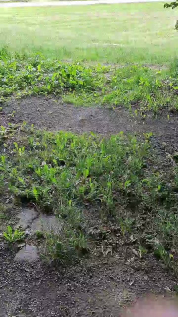 Outdoorgeil1  12-06-2021 Recorded Video Cam