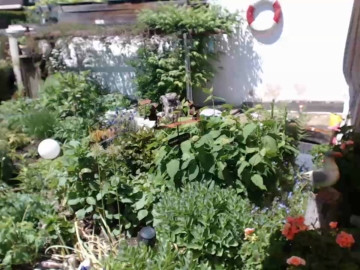 seveneleven34  13-06-2021 Recorded Video Webcam