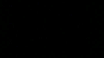 Julyaandraul  14-06-2021 wild Couple