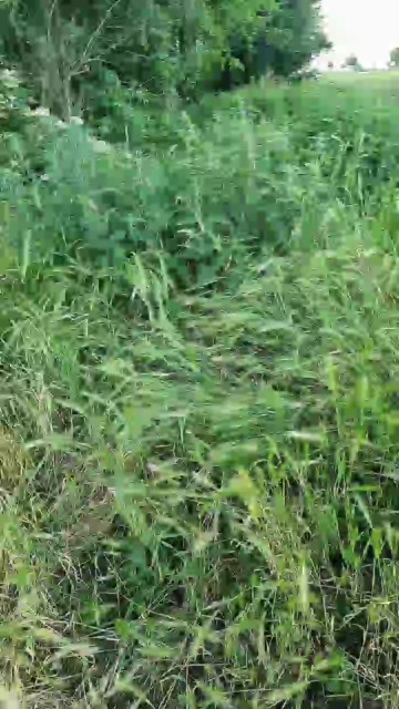 Outdoorgeil1  15-06-2021 Recorded Video Nude