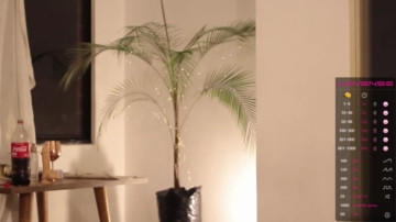 50t  18-06-2021 video cuteface