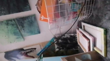 sirimmerhart3  23-06-2021 Recorded Video Webcam