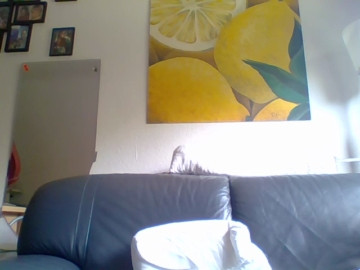 damasko85  24-06-2021 Recorded Video Naked