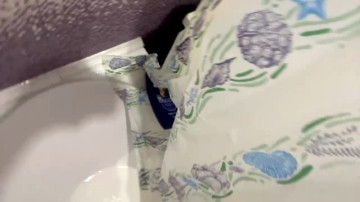 Alvin_Main  25-06-2021 video assplay