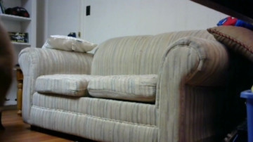 Hardworkertn  26-06-2021 video bounce