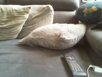 widder35  27-06-2021 Recorded Video XXX