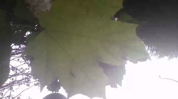 Tastit4cs  28-06-2021 Recorded Video Nude