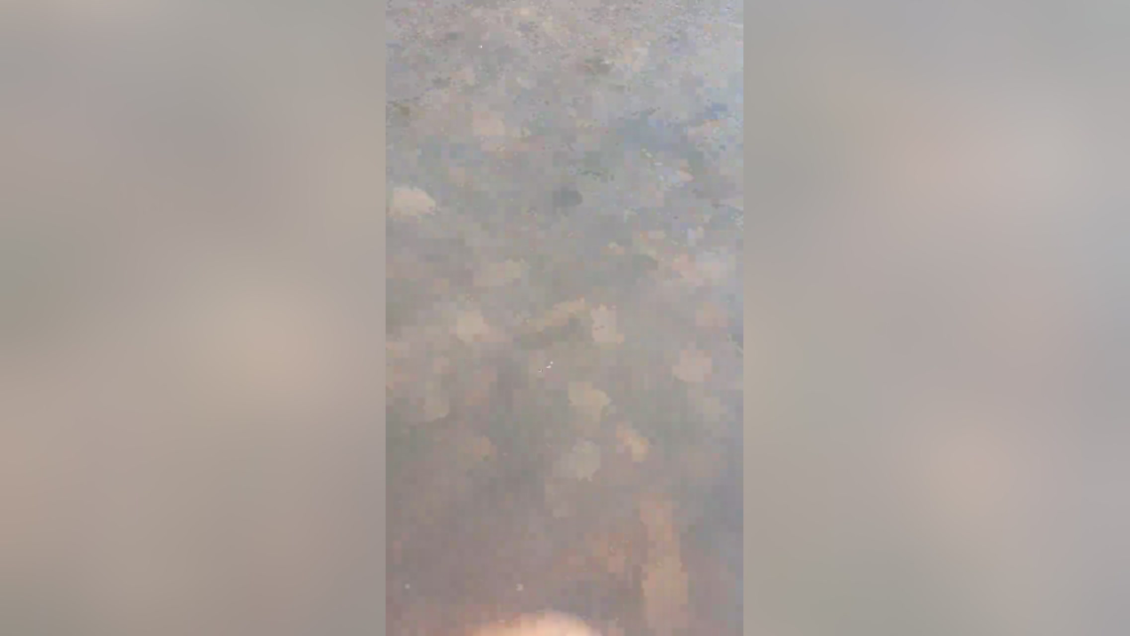 Bichitodeluz20  27-12-2021 Recorded Video Download