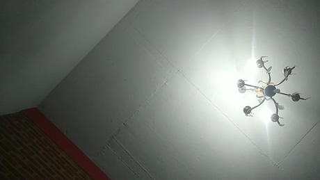 Humanoinusual  26-12-2021 Recorded Video kissing