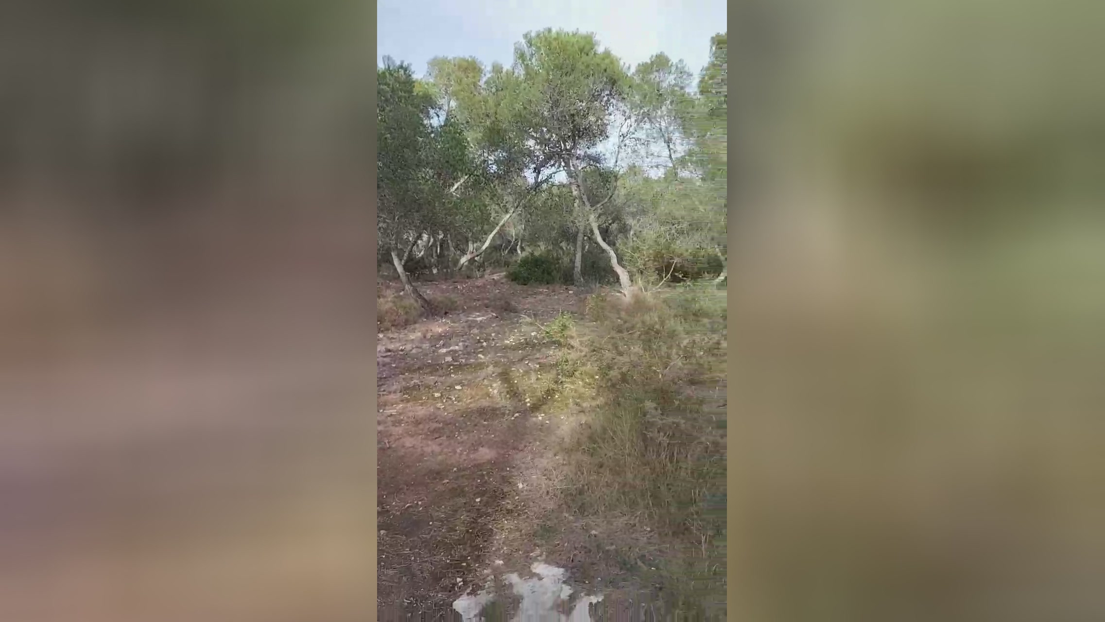 amir_vlc  26-12-2021 Recorded Video ass