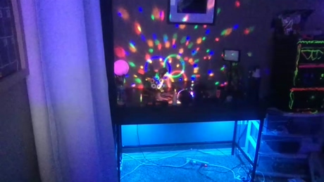 tcanale17  28-12-2021 video horny