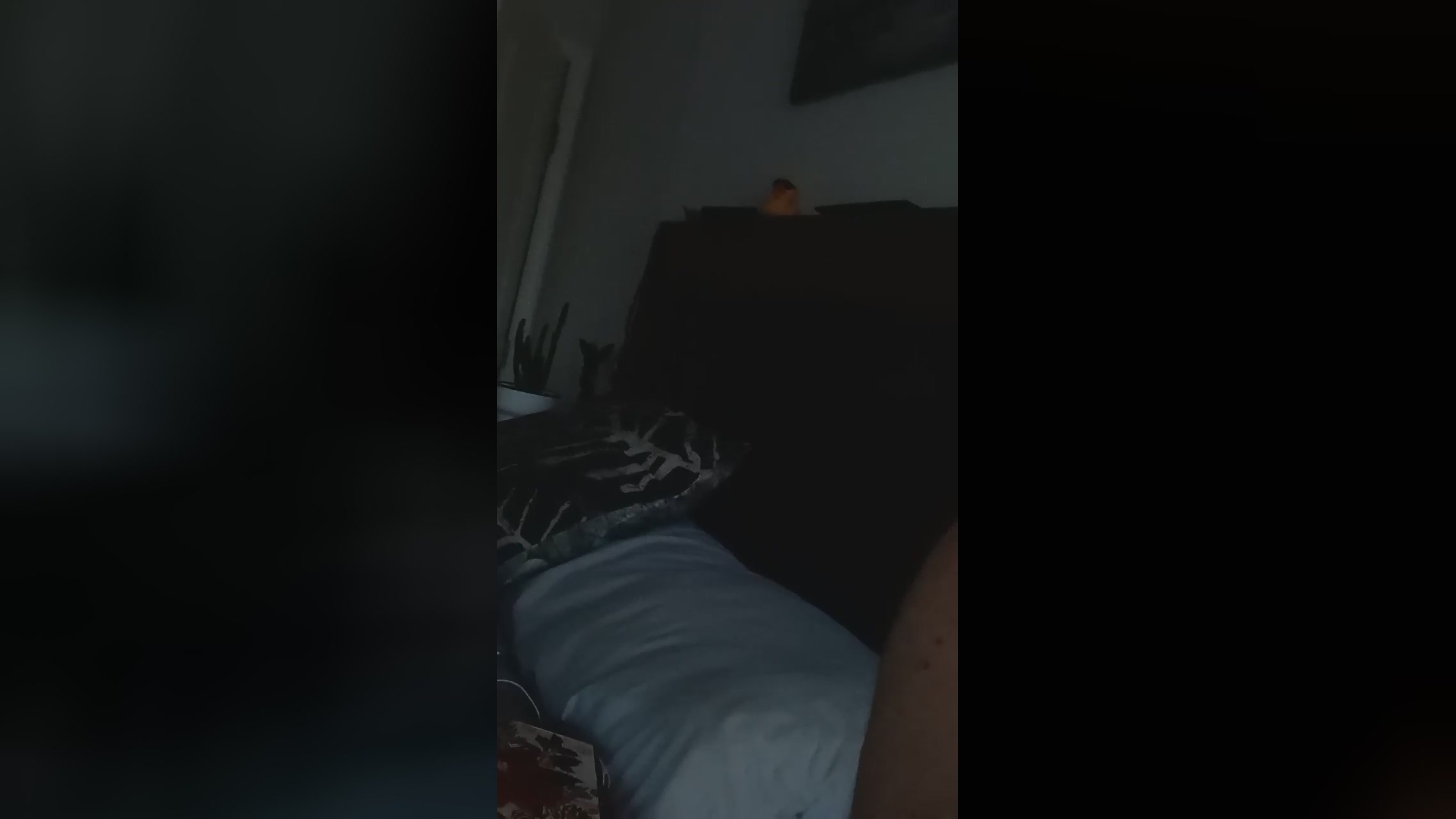 trash4cash  27-12-2021 Recorded Video jerkoff