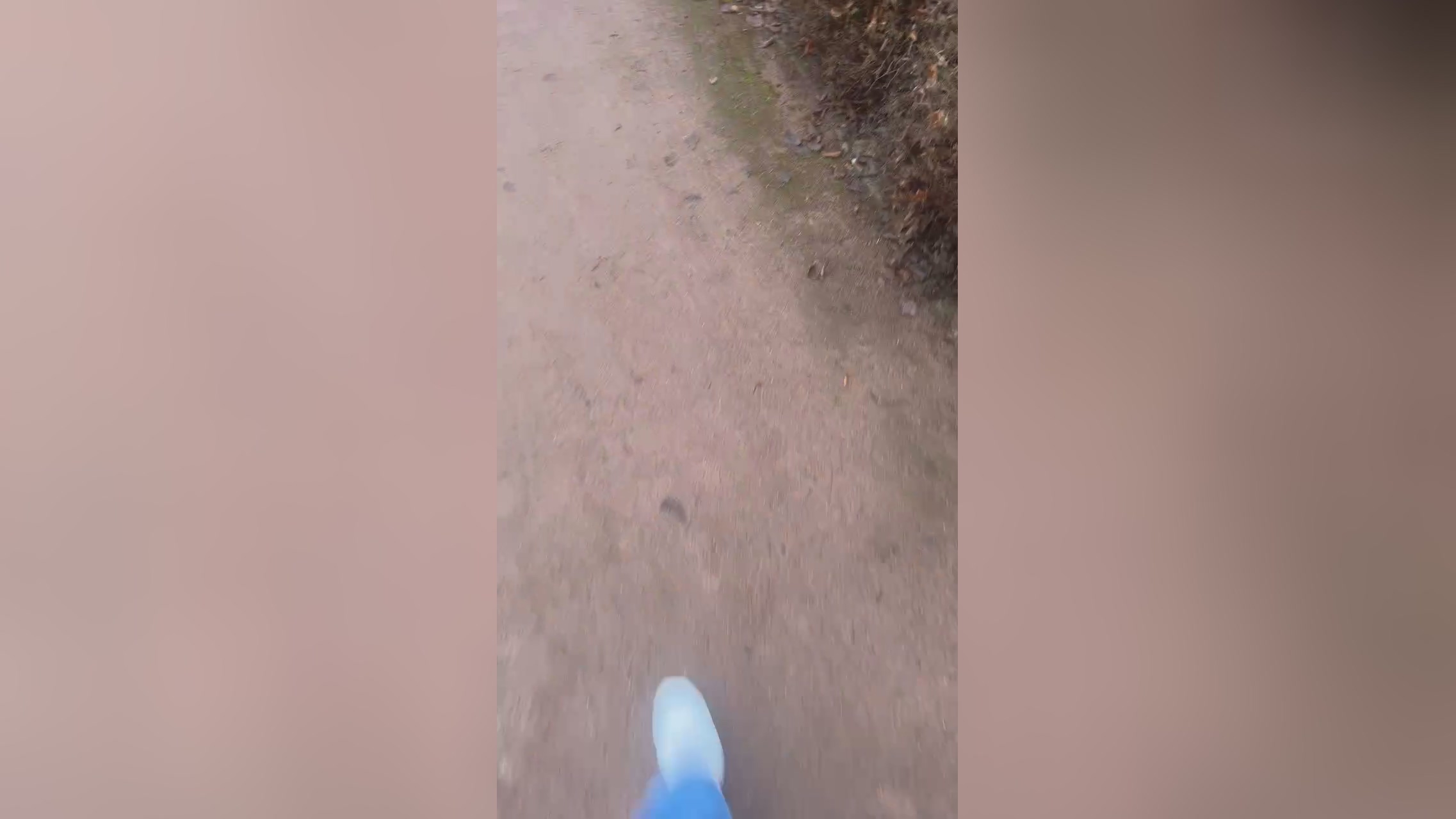 PacinoDeniro  28-12-2021 Recorded Video moan