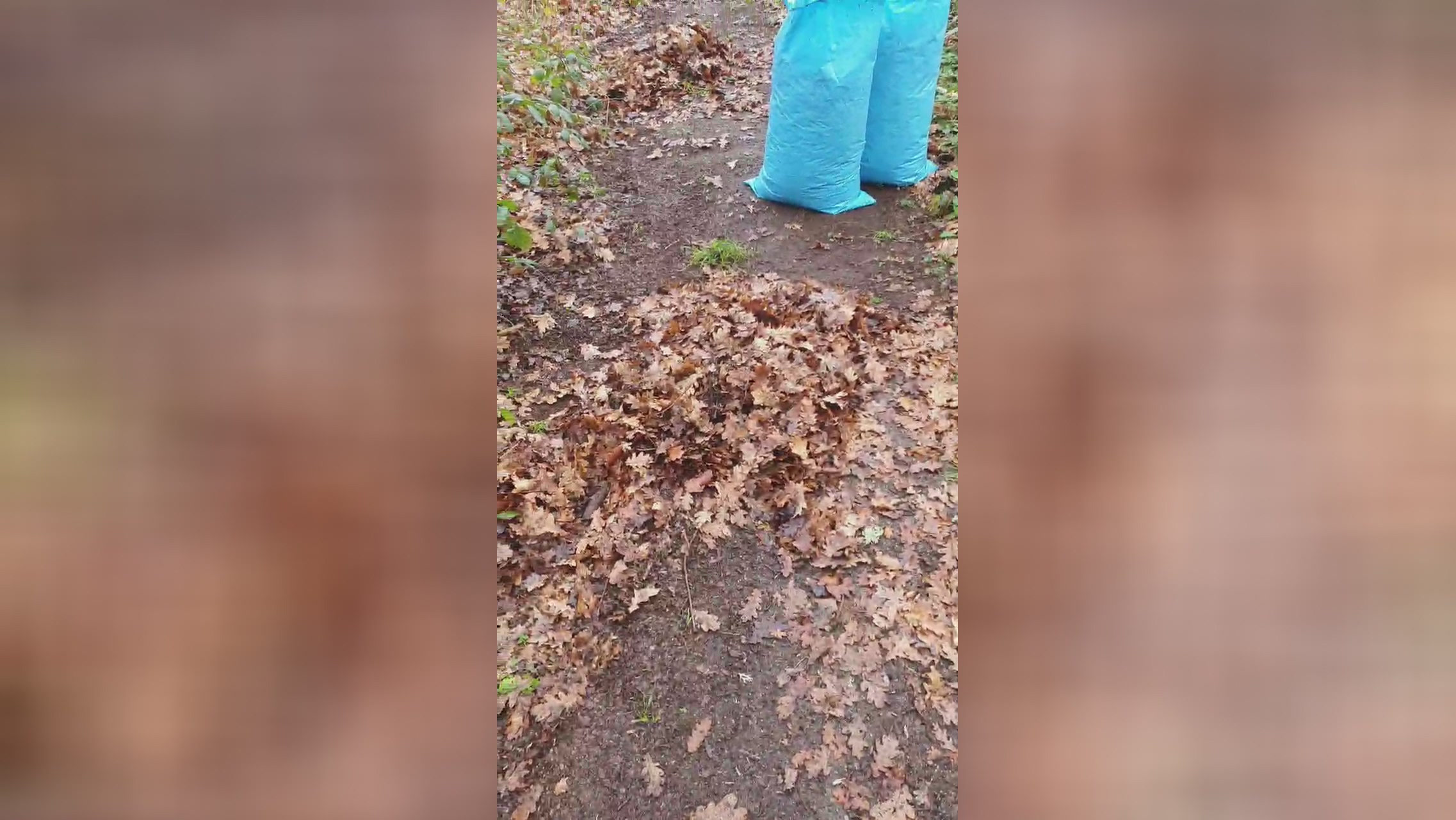 Servidor86  29-12-2021 Recorded Video fuckface