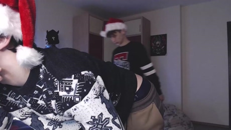 teddy_mode  28-12-2021 video big