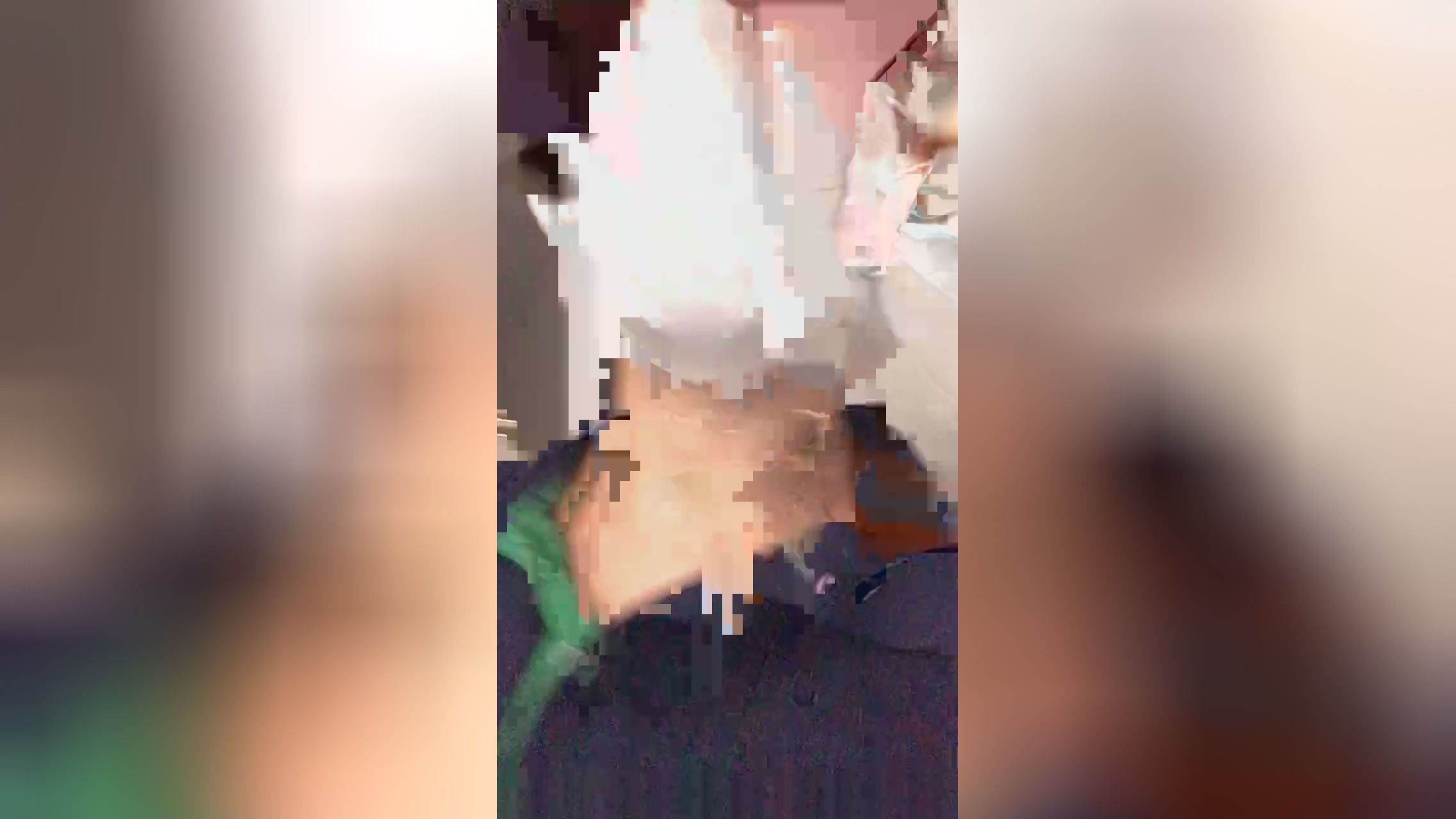 vinipr1  29-12-2021 Recorded Video big
