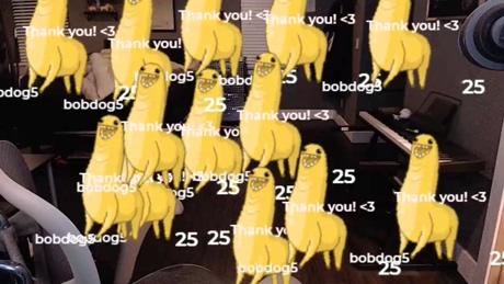 booker_baxton  29-12-2021 video gag