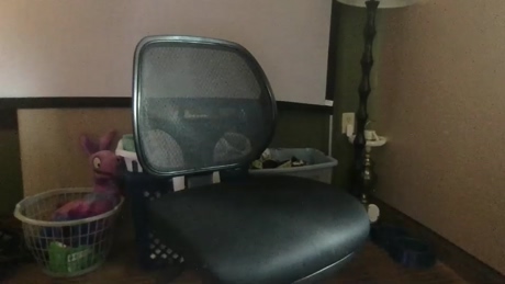 dade727  29-12-2021 video handsome