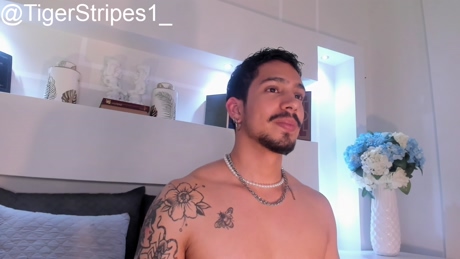 tigerstripees  30-12-2021 Recorded Video Pretty