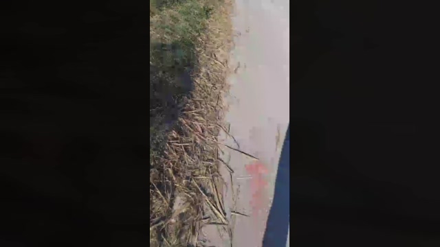 amir_vlc  31-12-2021 Recorded Video striptease