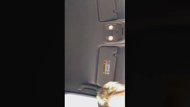 amir_vlc  31-12-2021 Recorded Video bigtoys