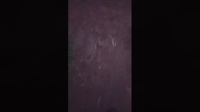 amir_vlc  31-12-2021 Recorded Video analsex
