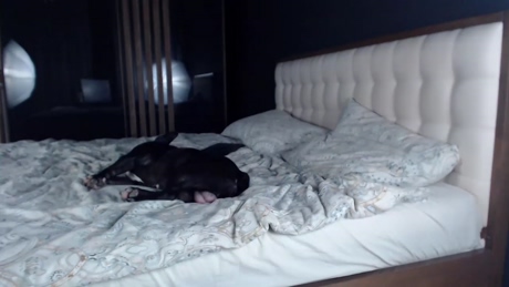 blakemyers  01-01-2022 video show