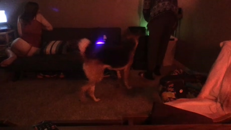 tcanale17  01-01-2022 video sexy