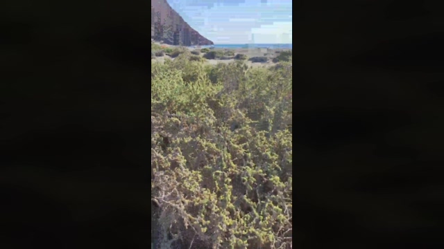 1osom  03-01-2022 Recorded Video XXX