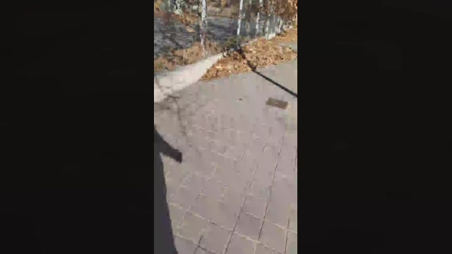 amir_funn  04-01-2022 Recorded Video fuckface
