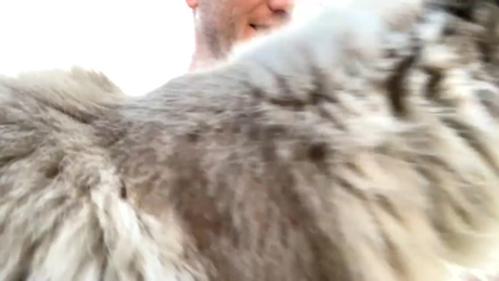 joeyclev  03-01-2022 video love