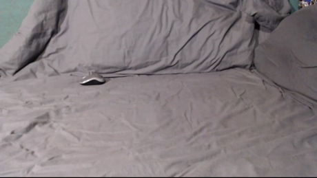 shototto  03-01-2022 video Porn