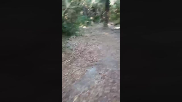 underwatermast1  05-01-2022 Recorded Video bigballs