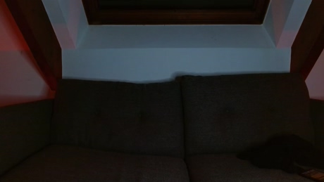 nice_2_meet_you  07-01-2022 video hard