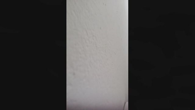 sweet_scarlett_ 07-01-2022 love 