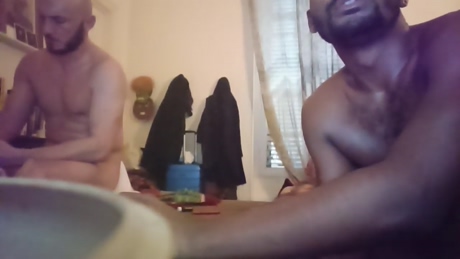 ProvocMetisX