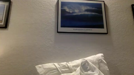 moose_1990  10-01-2022 video Nude