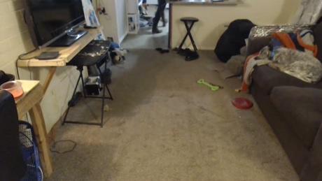 bryancavallo  11-01-2022 video orgasm