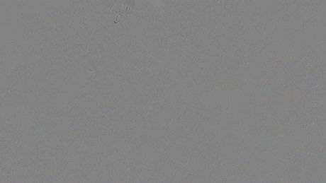 cknfunclt2  10-01-2022 Recorded Video Recorded