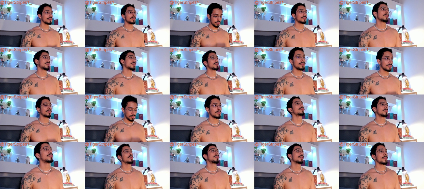 tigerstripees  11-01-2022 Recorded Video Nude